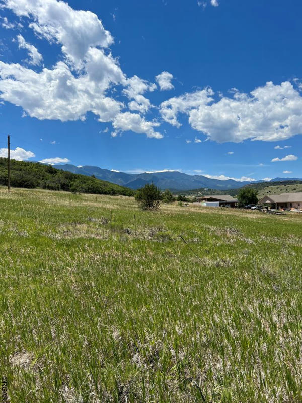 LOT 206 WHIRLAWAY COURT # 29/206, COLORADO CITY, CO 81019, photo 1 of 9