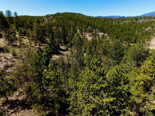 39 STAG HORN LN, CANON CITY, CO 81212 - Image 1