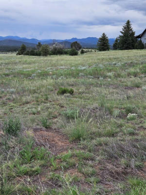 1787 24TH TRL, COTOPAXI, CO 81223 - Image 1