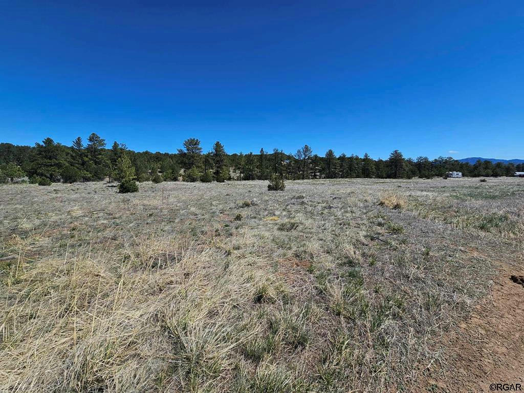 1925 R PATH, COTOPAXI, CO 81223, photo 1 of 7
