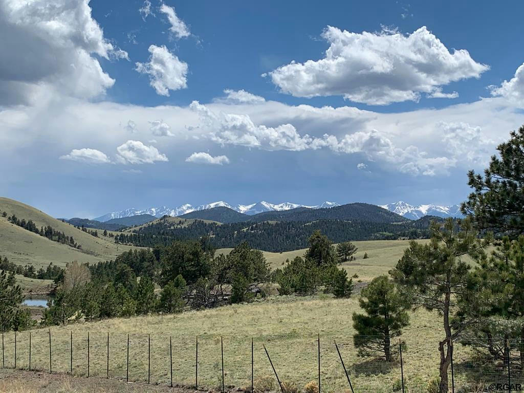 814 COUNTY ROAD 169A, COTOPAXI, CO 81223, photo 1 of 22