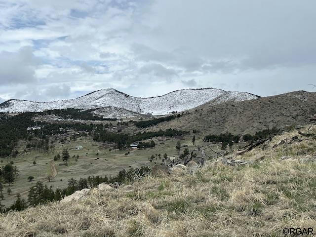 690 SHANNON TRL, COTOPAXI, CO 81223, photo 1 of 12